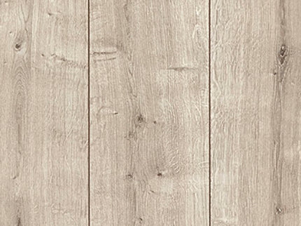 Rose 60017