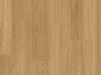 Rose Basic 6003