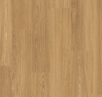 Rose Basic 6003
