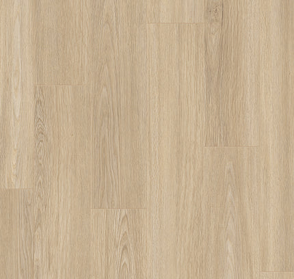 Rose Basic 6005