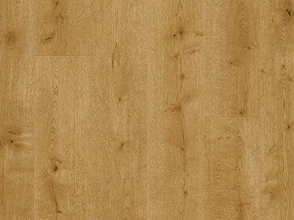 Rose Basic 6011