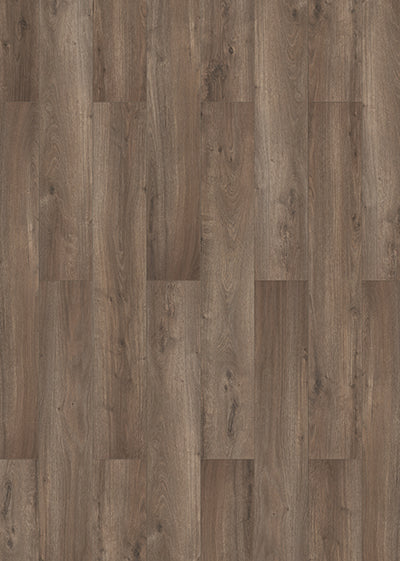 Lungo 62964