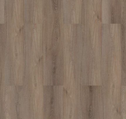 Ambassador Oak (Plak)