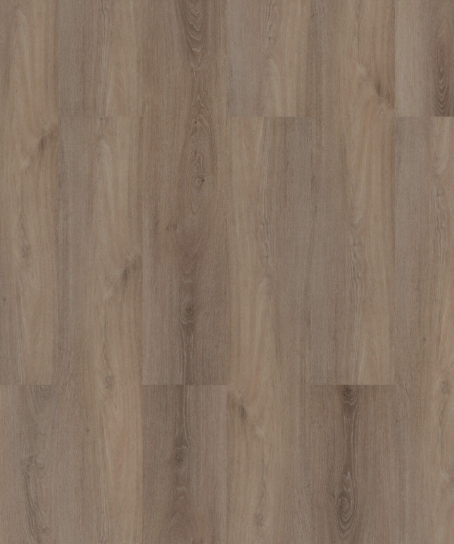 Ambassador Oak (Plak)