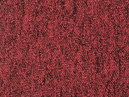 Fortemente SD 20 Red (4 meter breed)