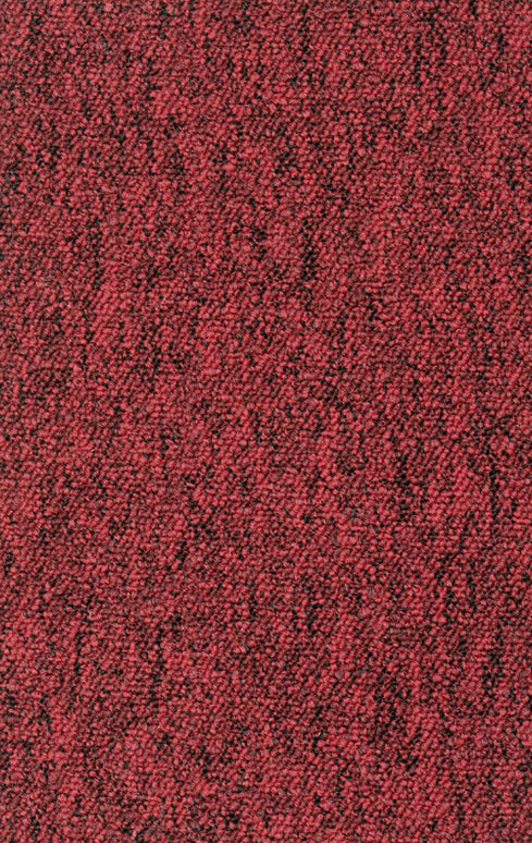 Fortemente SD 20 Red (4 meter breed)