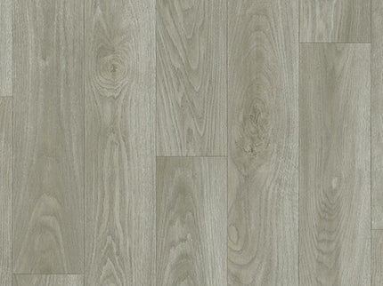 Chevron 71 Chapman Oak (4 meter breed)