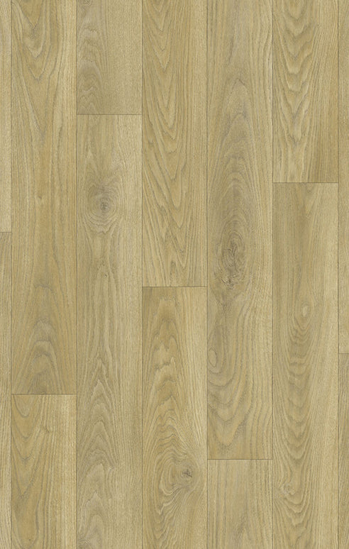 Chevron 80 Tasmanian Oak (4 meter breed)