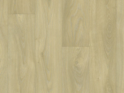 Chevron 84 Oakland (4 meter breed)