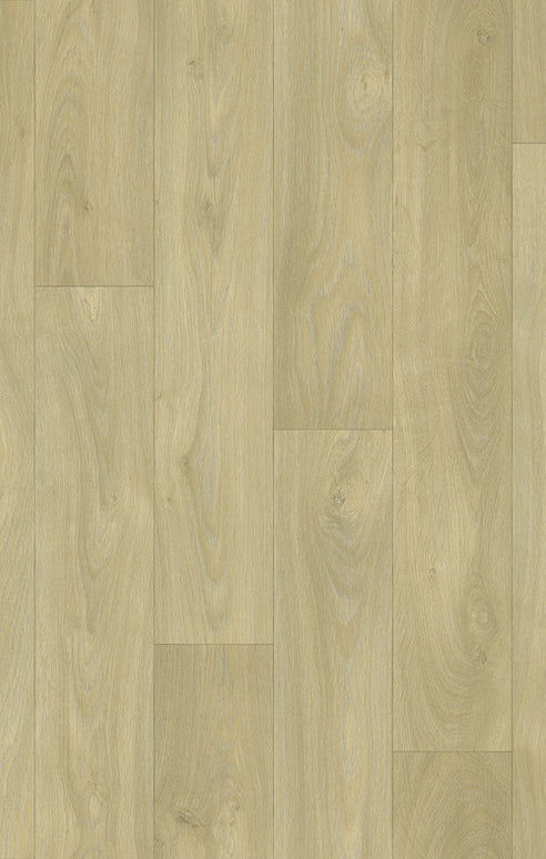 Chevron 84 Oakland (4 meter breed)