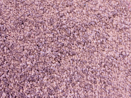 Colourful 113 Crocus (4 meter breed)