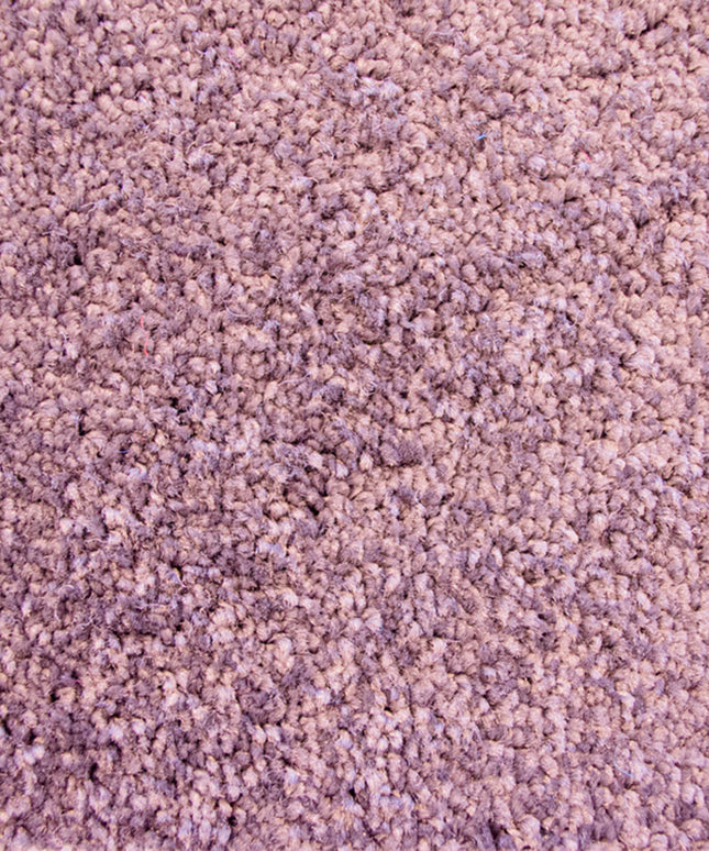Colourful 113 Crocus (4 meter breed)
