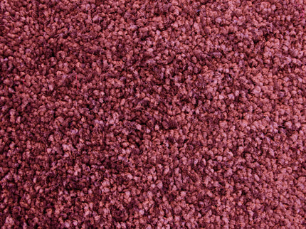 Colourful 114 Ruby (4 meter breed)