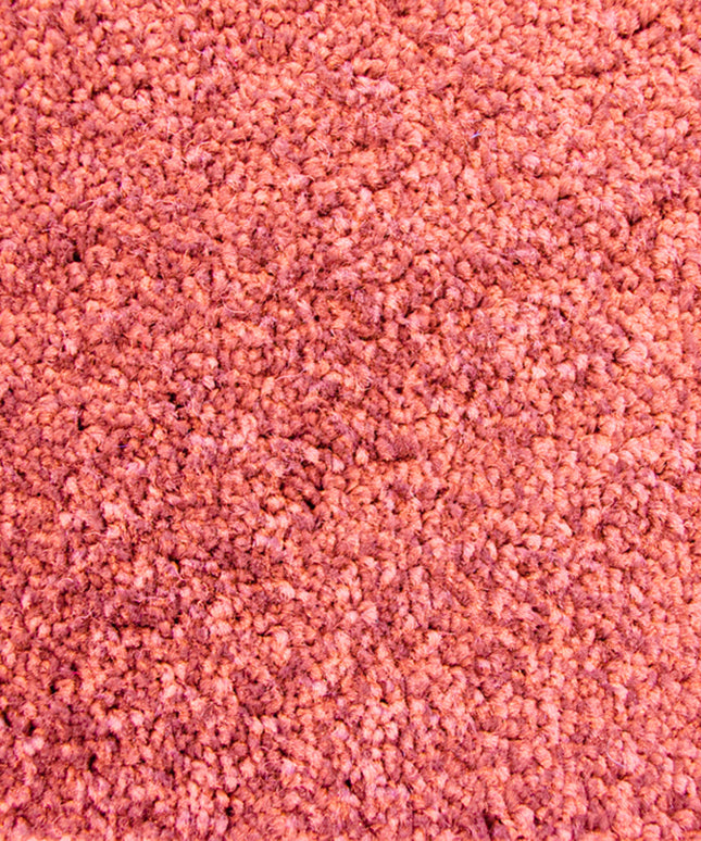 Colourful 12 Misty Rose (4 meter breed)