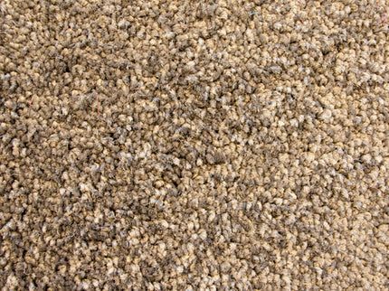 Colourful 375 Stone (4 meter breed)