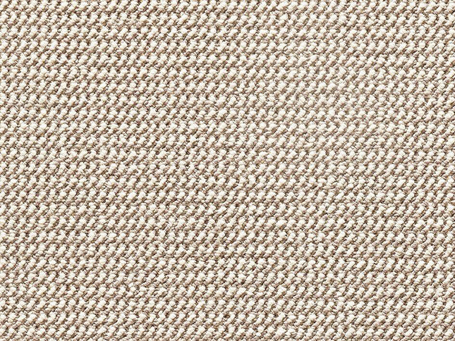 Nuance 34 Wheat (4 meter breed)