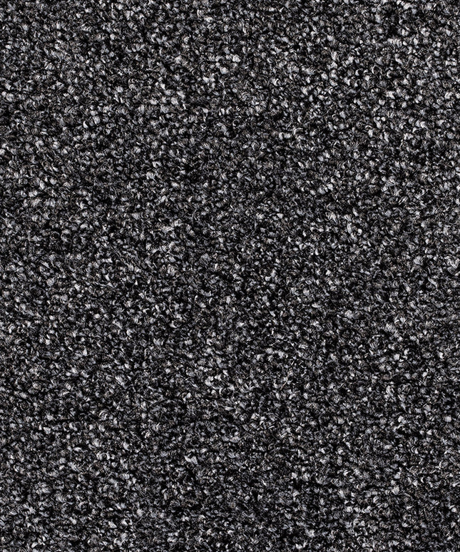 Candela 178 Dark Slate (4 meter breed)