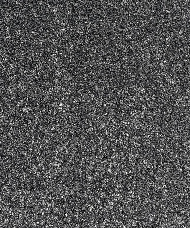 Bologna 76 Rock (4 meter breed)