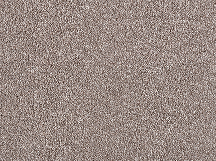 Palermo 260 Earth (4 meter breed)