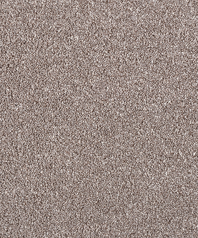 Palermo 260 Earth (4 meter breed)