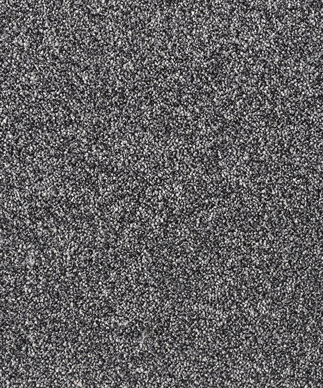 Palermo 810 Zebra (4 meter breed)