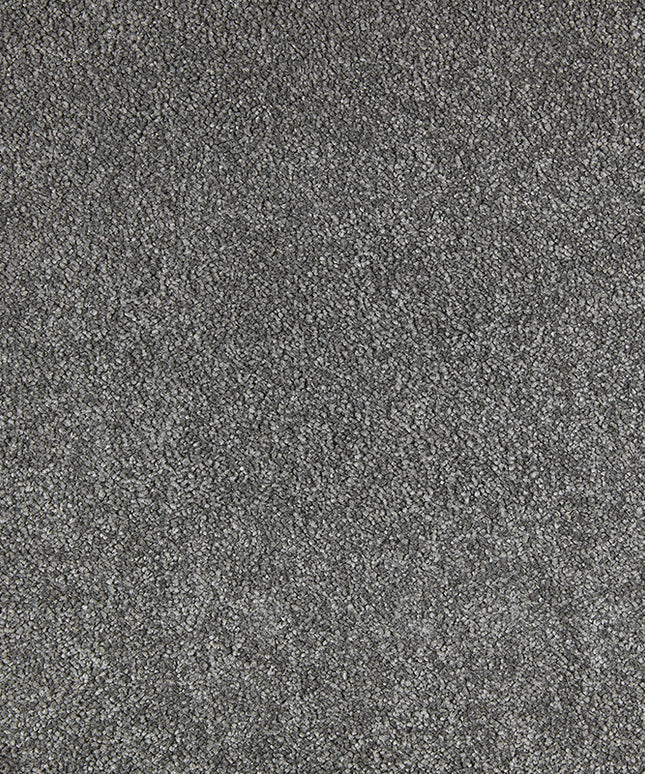 Palermo 832 Mule (4 meter breed)