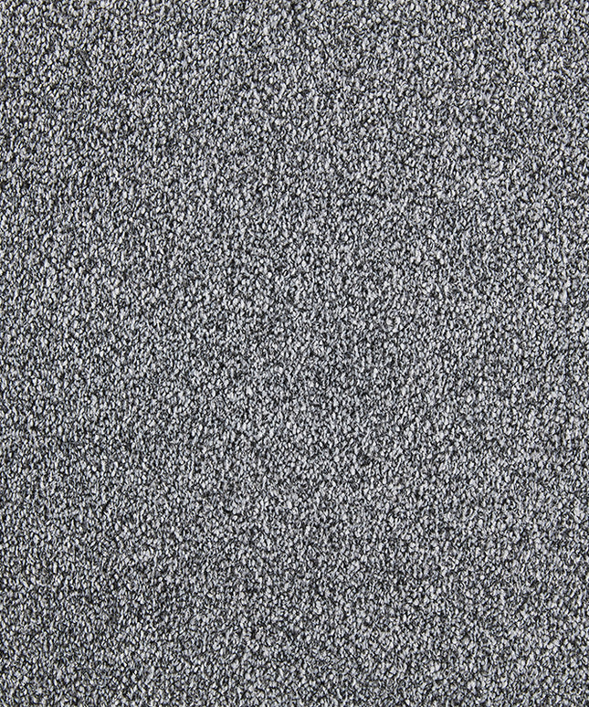 Palermo 843 Scissor (4 meter breed)