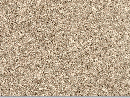Fidenza 260 Oyster (4 meter breed)