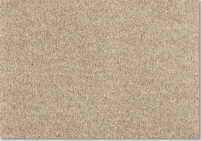 Fidenza 260 Oyster (4 meter breed)