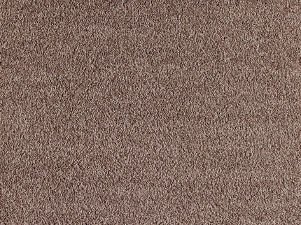 Fidenza 261 Powder (4 meter breed)