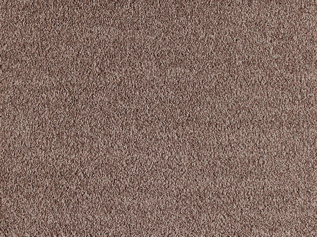 Fidenza 261 Powder (4 meter breed)
