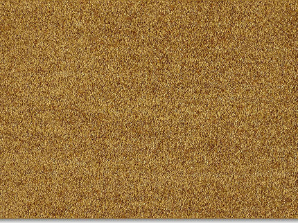 Fidenza 370 Curry (4 meter breed)