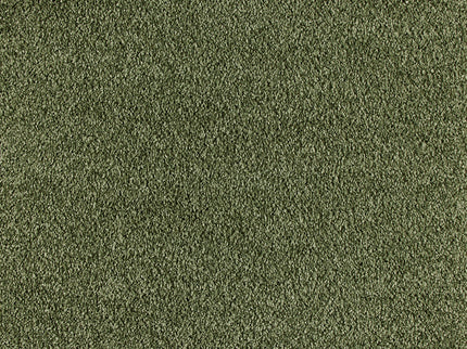 Fidenza 481 Sage (4 meter breed)