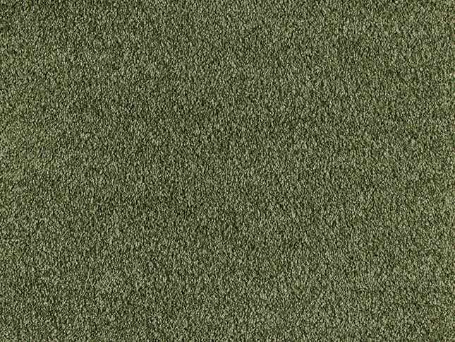 Fidenza 481 Sage (4 meter breed)