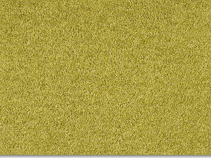 Fidenza 540 Lime (4 meter breed)