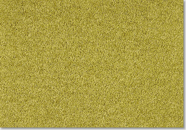 Fidenza 540 Lime (4 meter breed)