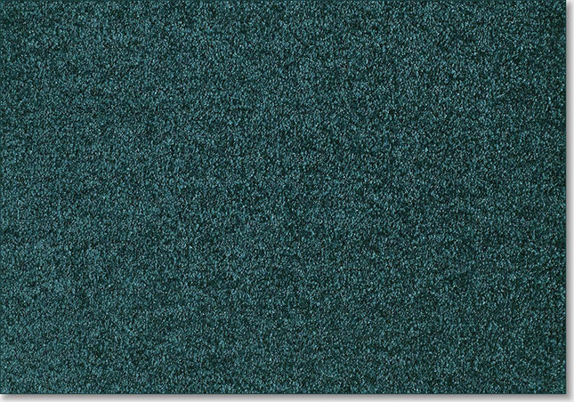Fidenza 710 Petrol (4 meter breed)