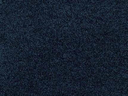 Fidenza 790 Denim (4 meter breed)