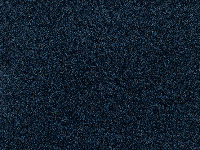 Fidenza 790 Denim (4 meter breed)