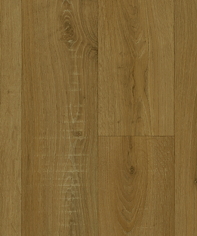 Woodland 534 (4 meter breed)