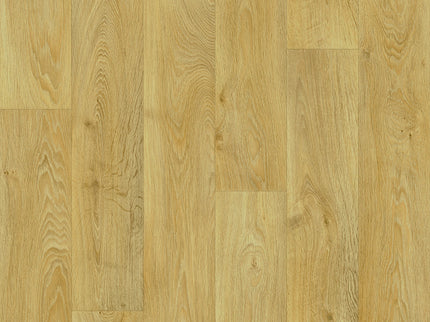 Woodland 562 (4 meter breed)
