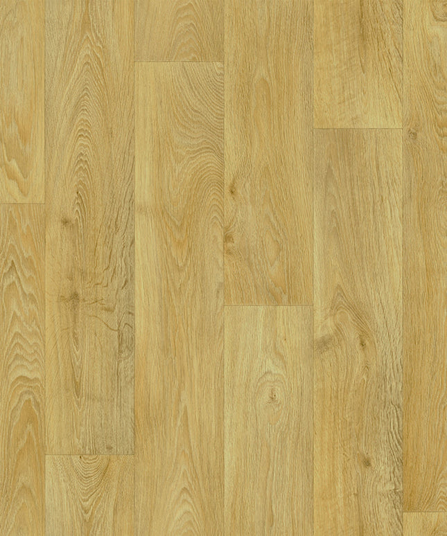 Woodland 562 (4 meter breed)
