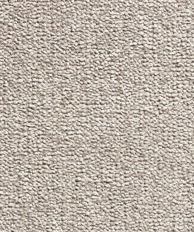 Solid Soft 72 Espresso (4 meter breed)