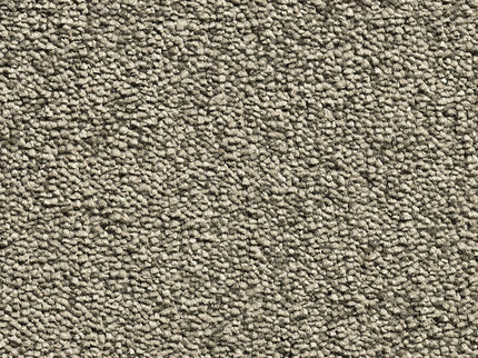 Diamond Dust 240 Olive (4 meter breed)