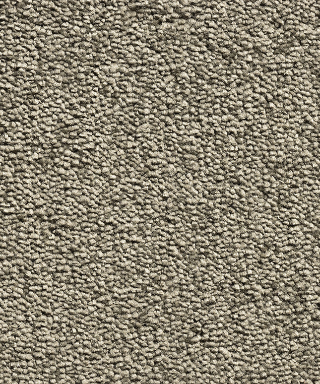 Diamond Dust 240 Olive (4 meter breed)