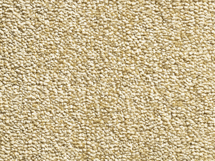 Diamond Dust 50 Turmeric (4 meter breed)