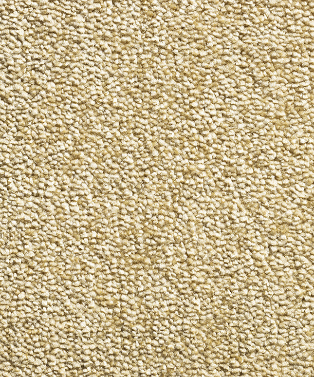 Diamond Dust 50 Turmeric (4 meter breed)