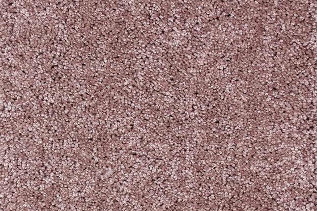 Tender 170 Biscuit (4 meter breed)