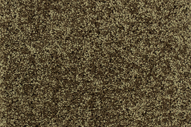 Tender 920 Brownie (4 meter breed)