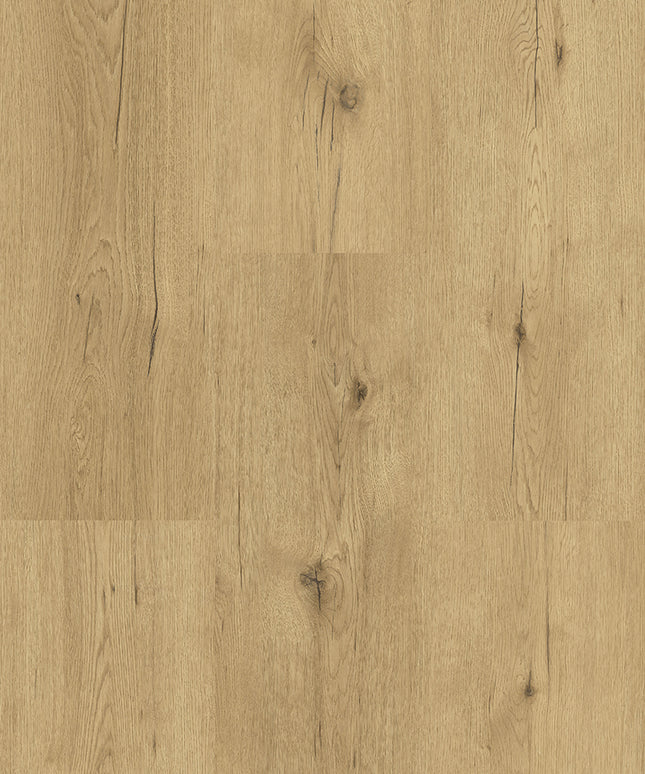 202 La Luette (Klik & Plak)